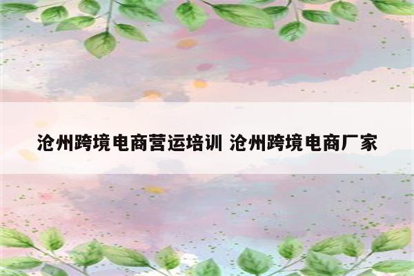 沧州跨境电商营运培训 沧州跨境电商厂家