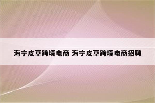海宁皮草跨境电商 海宁皮草跨境电商招聘