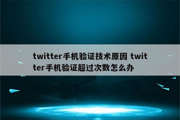 twitter手机验证技术原因 twitter手机验证超过次数怎么办