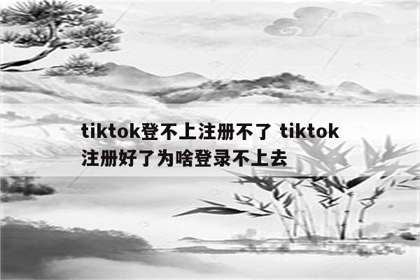 tiktok登不上注册不了 tiktok注册好了为啥登录不上去