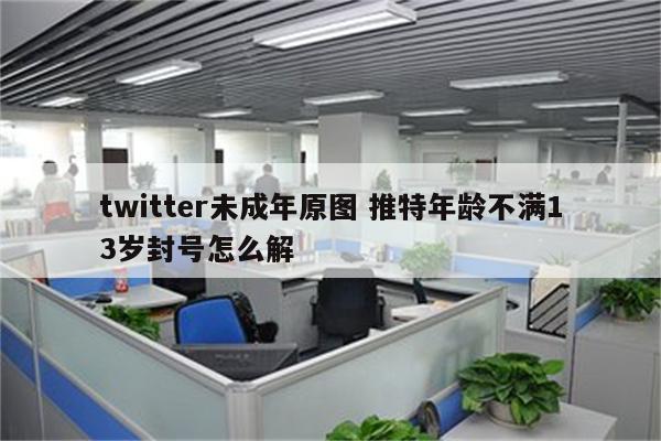 twitter未成年原图 推特年龄不满13岁封号怎么解