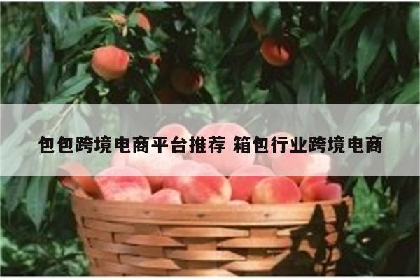 包包跨境电商平台推荐 箱包行业跨境电商