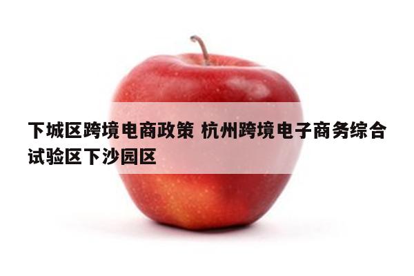 下城区跨境电商政策 杭州跨境电子商务综合试验区下沙园区