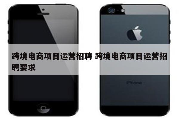 跨境电商项目运营招聘 跨境电商项目运营招聘要求