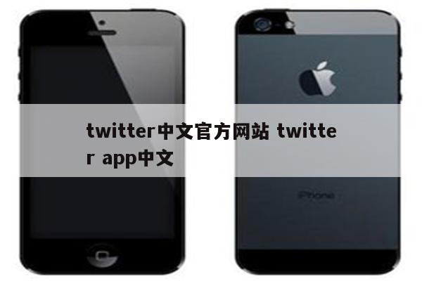 twitter中文官方网站 twitter app中文