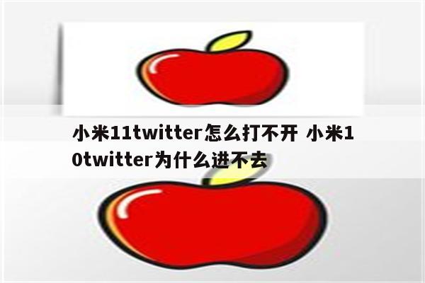 小米11twitter怎么打不开 小米10twitter为什么进不去