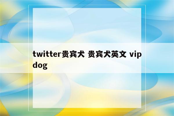 twitter贵宾犬 贵宾犬英文 vipdog