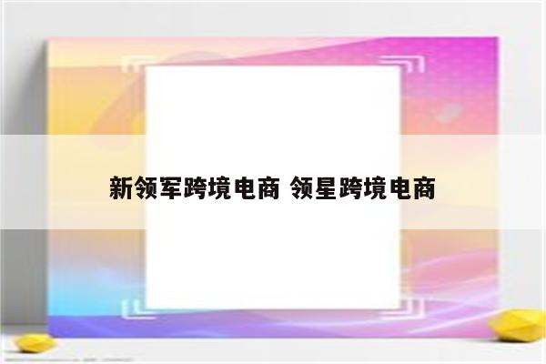 新领军跨境电商 领星跨境电商