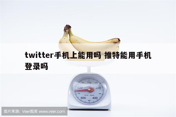 twitter手机上能用吗 推特能用手机登录吗