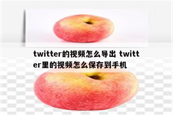 twitter的视频怎么导出 twitter里的视频怎么保存到手机