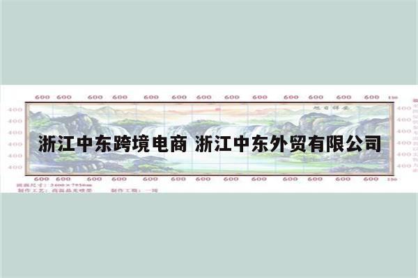 浙江中东跨境电商 浙江中东外贸有限公司