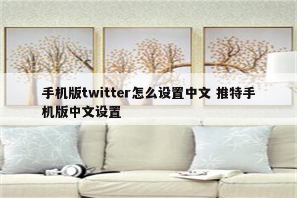 手机版twitter怎么设置中文 推特手机版中文设置