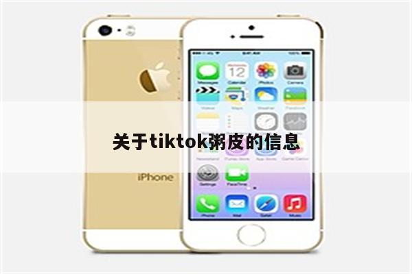 关于tiktok粥皮的信息