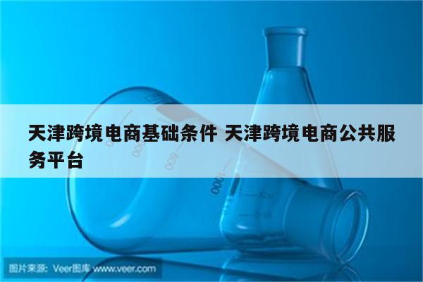 天津跨境电商基础条件 天津跨境电商公共服务平台