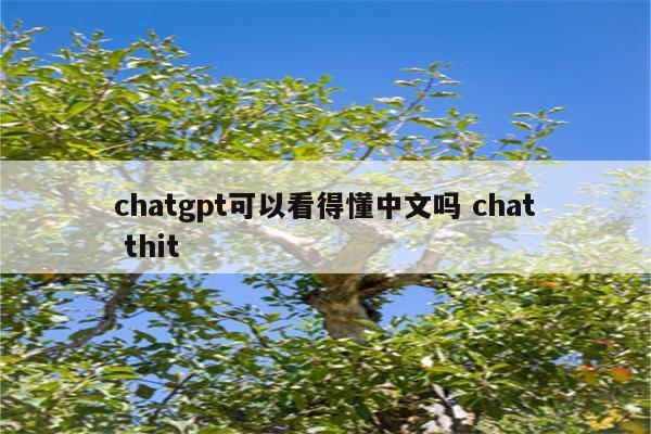 chatgpt可以看得懂中文吗 chat thit