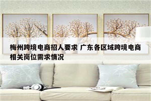 梅州跨境电商招人要求 广东各区域跨境电商相关岗位需求情况