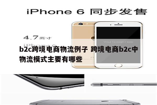 b2c跨境电商物流例子 跨境电商b2c中物流模式主要有哪些