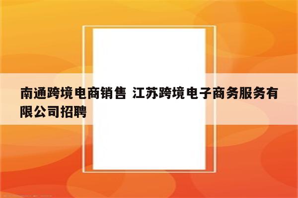南通跨境电商销售 江苏跨境电子商务服务有限公司招聘