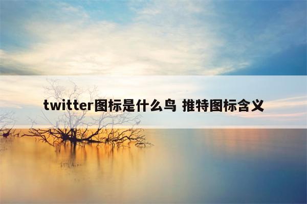 twitter图标是什么鸟 推特图标含义
