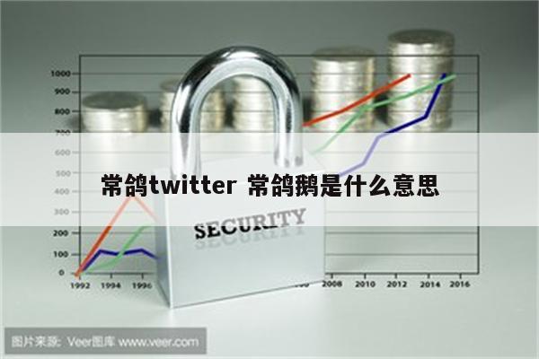 常鸽twitter 常鸽鹅是什么意思