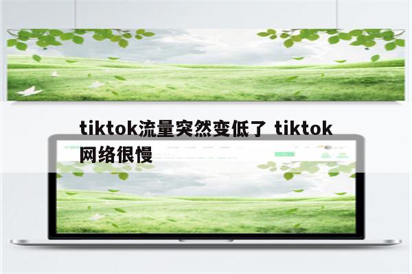tiktok流量突然变低了 tiktok网络很慢