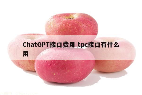 ChatGPT接口费用 tpc接口有什么用
