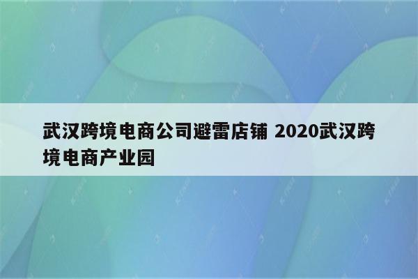 武汉跨境电商公司避雷店铺 2020武汉跨境电商产业园