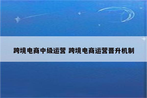 跨境电商中级运营 跨境电商运营晋升机制