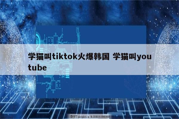 学猫叫tiktok火爆韩国 学猫叫youtube