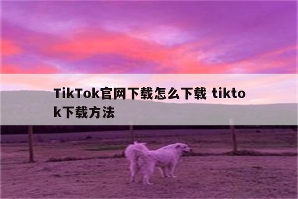 TikTok官网下载怎么下载 tiktok下载方法
