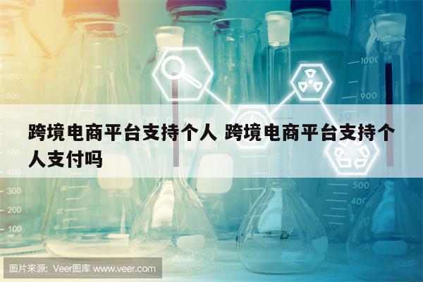 跨境电商平台支持个人 跨境电商平台支持个人支付吗