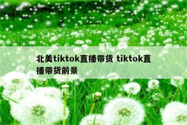 北美tiktok直播带货 tiktok直播带货前景
