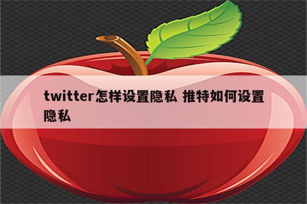 twitter怎样设置隐私 推特如何设置隐私