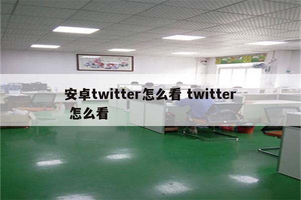 安卓twitter怎么看 twitter 怎么看