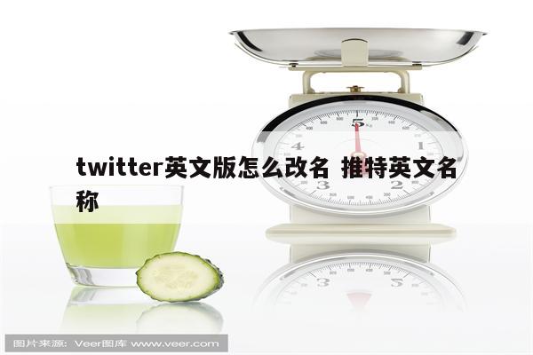 twitter英文版怎么改名 推特英文名称