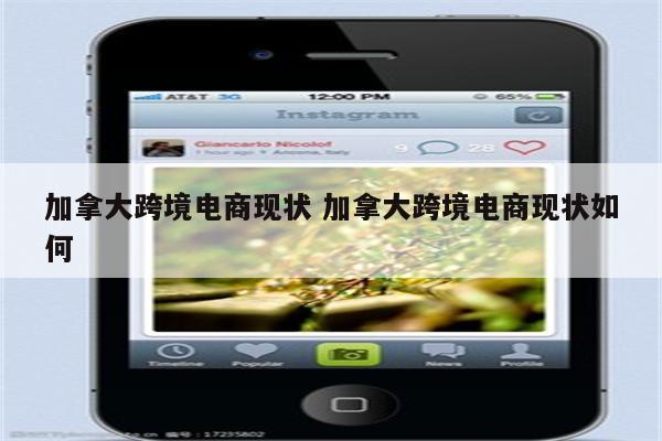 加拿大跨境电商现状 加拿大跨境电商现状如何