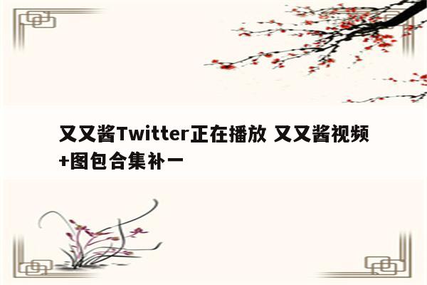 又又酱Twitter正在播放 又又酱视频+图包合集补一