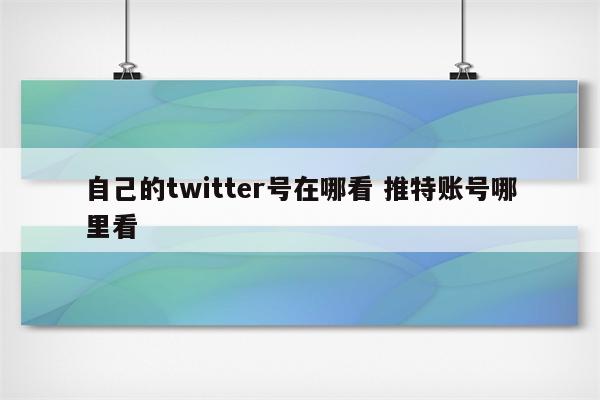 自己的twitter号在哪看 推特账号哪里看
