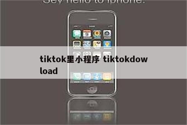 tiktok里小程序 tiktokdowload