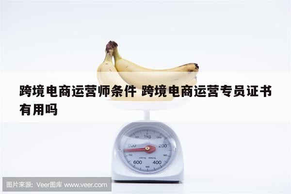 跨境电商运营师条件 跨境电商运营专员证书有用吗
