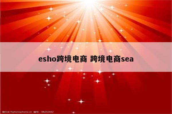 esho跨境电商 跨境电商sea