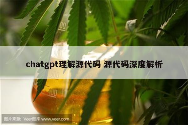 chatgpt理解源代码 源代码深度解析