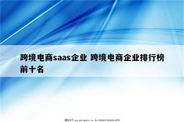 跨境电商saas企业 跨境电商企业排行榜前十名