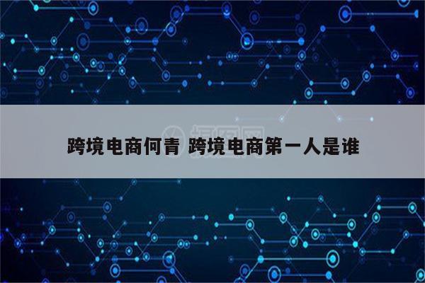 跨境电商何青 跨境电商第一人是谁