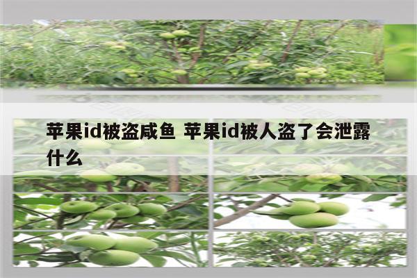 苹果id被盗咸鱼 苹果id被人盗了会泄露什么