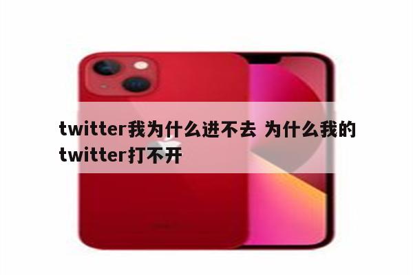 twitter我为什么进不去 为什么我的twitter打不开