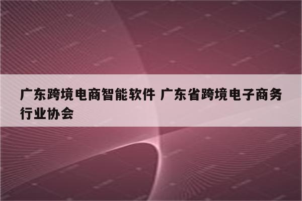 广东跨境电商智能软件 广东省跨境电子商务行业协会