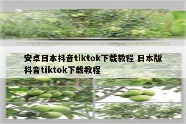 安卓日本抖音tiktok下载教程 日本版抖音tiktok下载教程