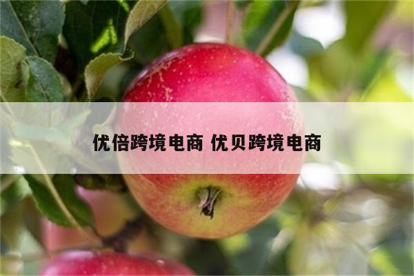 优倍跨境电商 优贝跨境电商