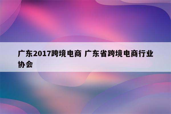 广东2017跨境电商 广东省跨境电商行业协会